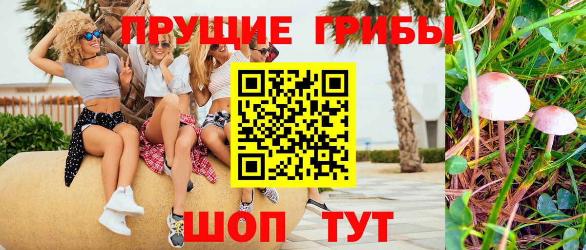 Галлюциногенные грибы ЛСД  Вход с VPN  Магадан 